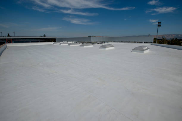 Best Roof Coating and Sealing  in El Verano, CA